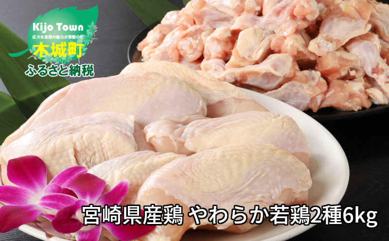 K16_0027_1＜宮崎県産鶏 やわらか若鶏2種6kg＞