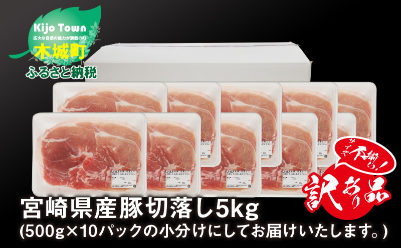 K16_0055 【訳あり】宮崎県産豚切り落とし5kg(500g×10パック)