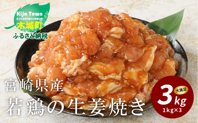 K16_0060　宮崎県産若鶏の生姜焼き