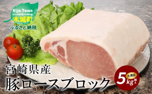 宮崎県産豚ロースブロック　5kg越え K16_0058_1