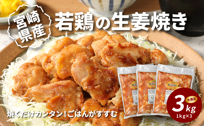 宮崎県産若鶏の生姜焼き K16_0060_1
