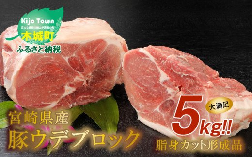 宮崎県産豚ウデブロック５kg!　脂身カット形成品【数量限定】　K16_0064_1
