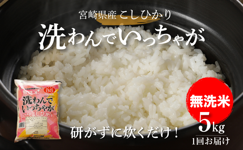 無洗米コシヒカリ洗わんでいっちゃが 5kg K23_002